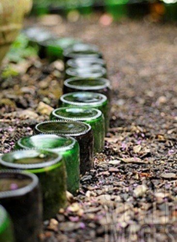 10 креативных вещей, которые можно сделать из пустых бутылок из-под шампанского
