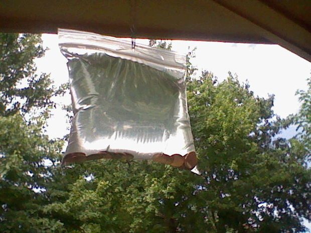Простой трюк с пластиковым пакетом, который отгонит всех мух от вашего дома!