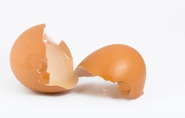 9 отличных идей использования яичной скорлупы!