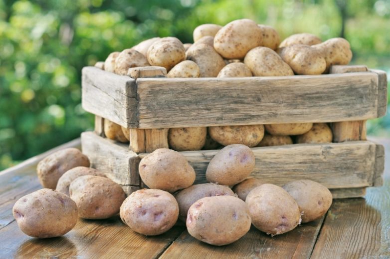 Храним картофель правильно!