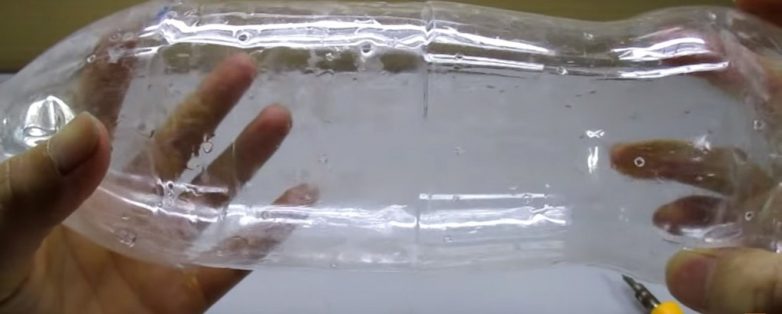 Выращивание ростков бобовых в пластиковой бутылке