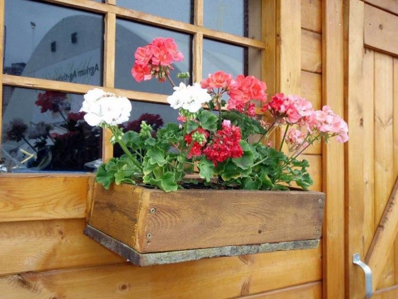 Яркие идеи для дачи, как установить чудесные цветы в ящики за окном
