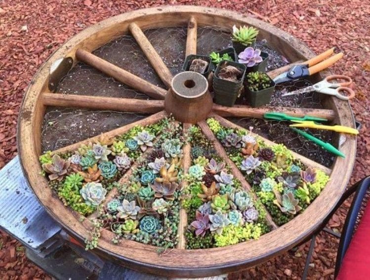 Шикарные цветочные идеи для сада и дачи