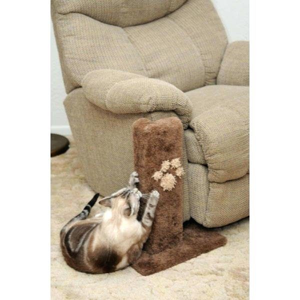 Велюровый диван и кошка