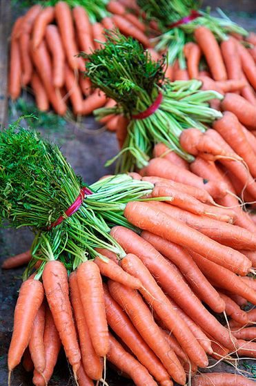 Как вырастить ровную красивую морковь