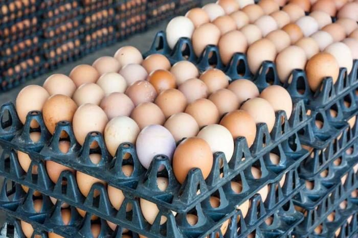 Сколько куриные яйца могут храниться в холодильнике