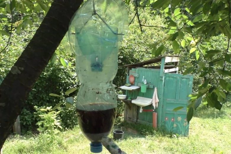 Простая ловушка для комаров из бутылки
