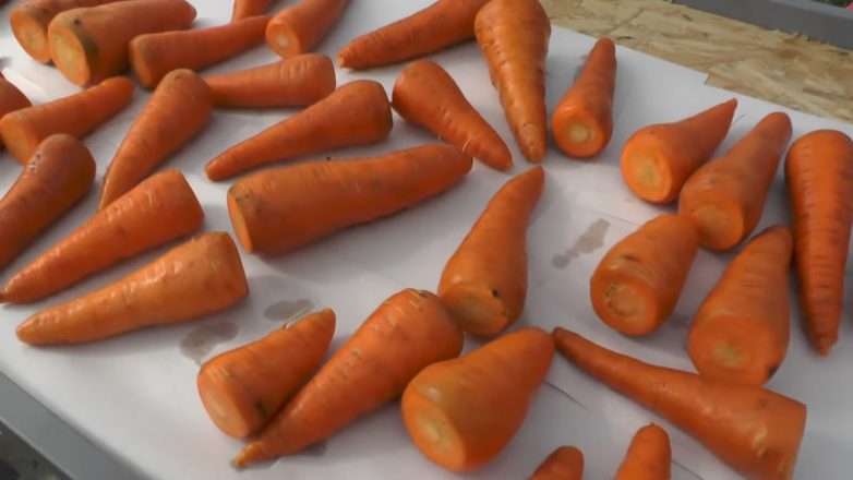 Как сохранить сочную морковь без погреба