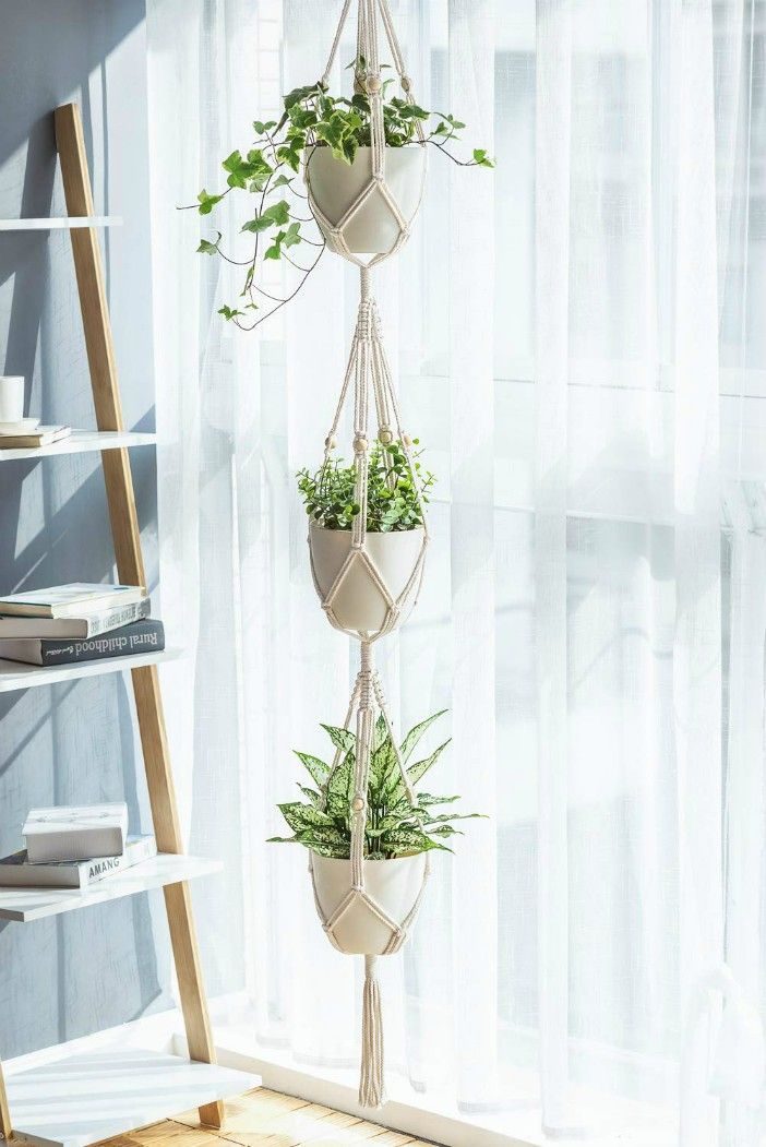 Идеи украшения небольшого пространства растениями