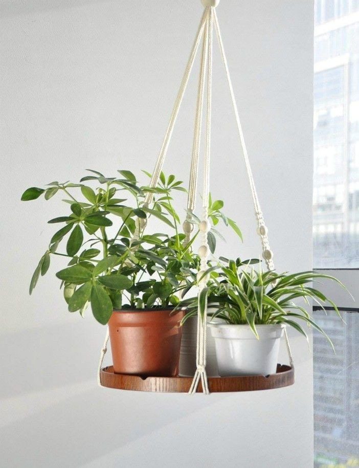 Идеи украшения небольшого пространства растениями