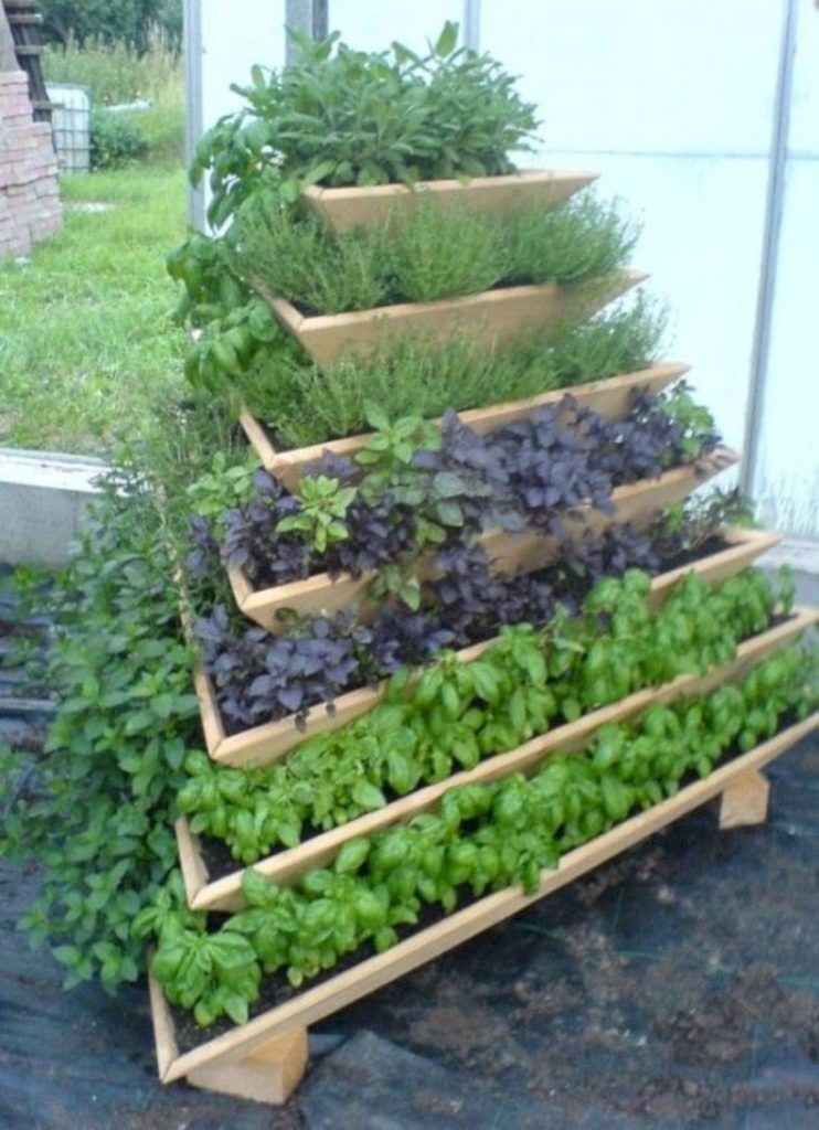 Высокие грядки, в которых удобно выращивать овощи и зелень