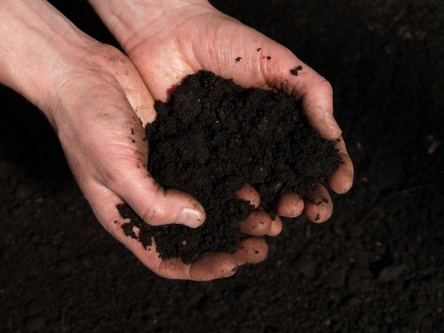 Плюсы безотвальной обработки почвы