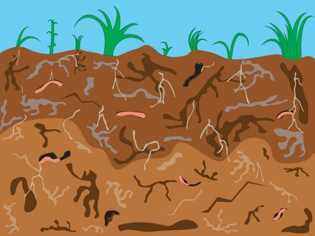 Плюсы безотвальной обработки почвы