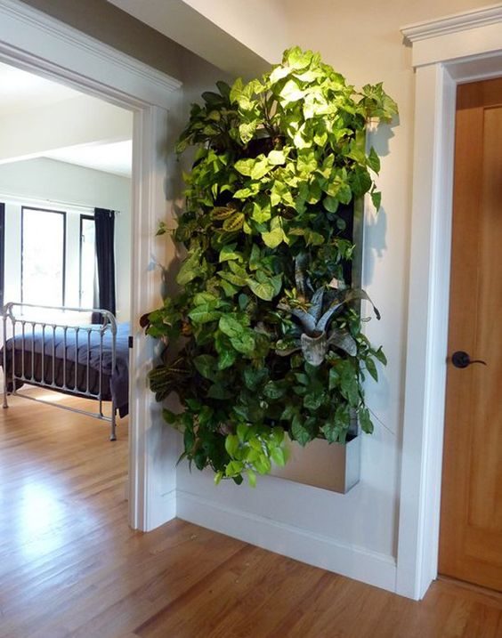 Идеи вертикального озеленения для небольших комнат
