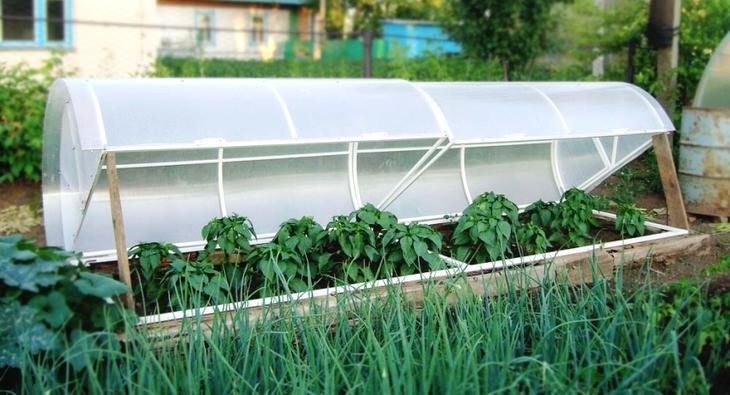 Функциональная конструкция для выращивания овощей