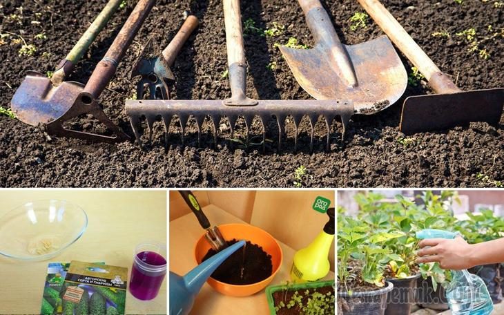 14  необычных способов применения марганцовки в саду, огороде и цветнике