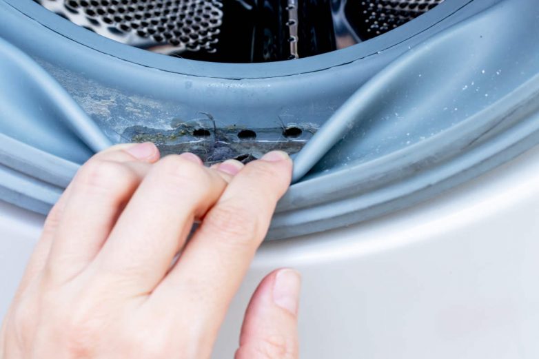 Как вывести плесень из стиральной машины