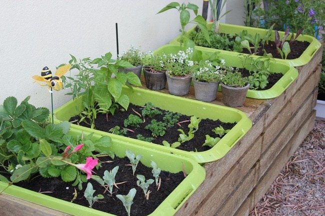 Идеи для сада и огорода, которые облегчат работы и сэкономят время