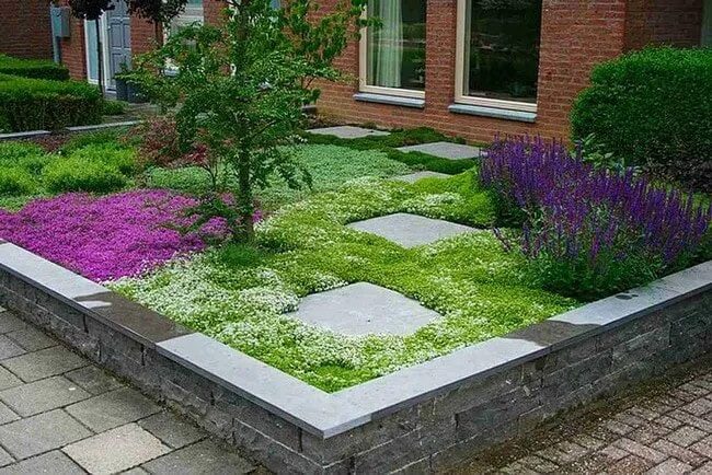 Красивые почвопокровные растения для создания особой атмосферы в саду