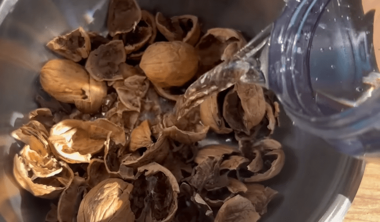 Применение ореховой скорлупы  в выращивании рассады