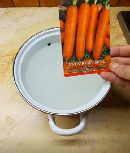 Лучший способ посадки моркови