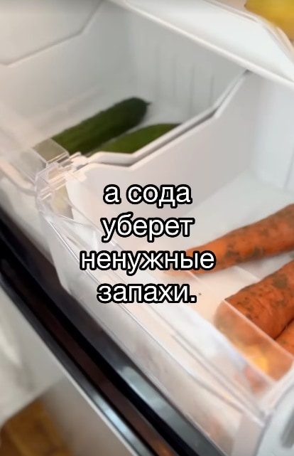 Как продлить свежесть овощей при хранении их в холодильнике