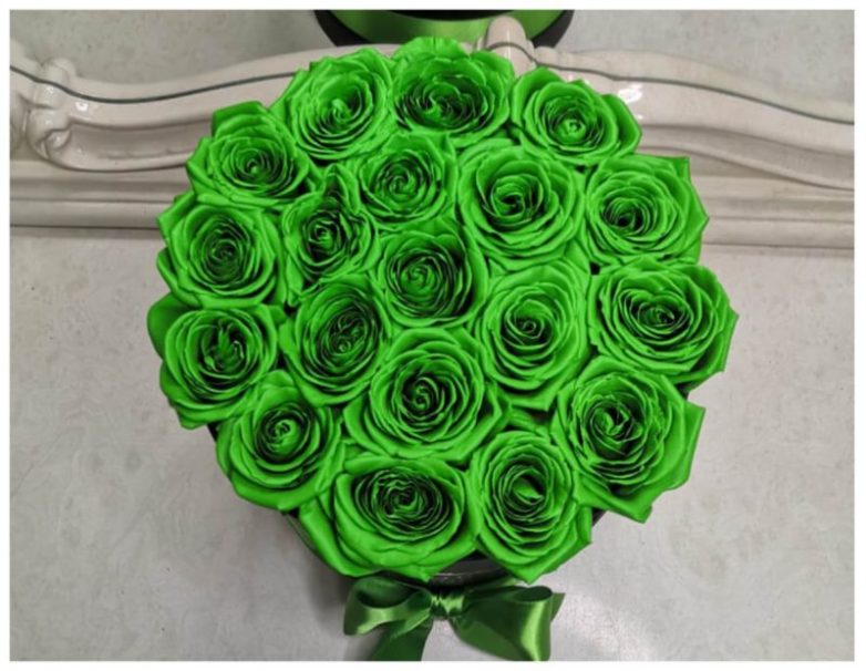 Самые красивые зелёные розы
