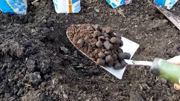 Правильная подготовка почвы для огурцов