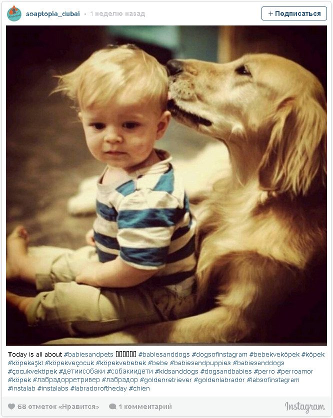 Трогательные фото детей и собак