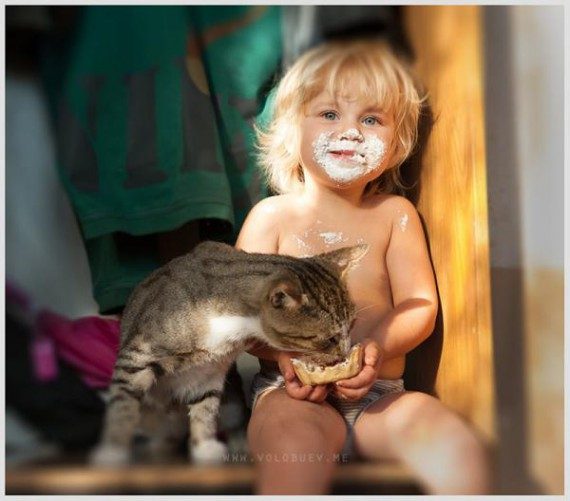 Детки и котики