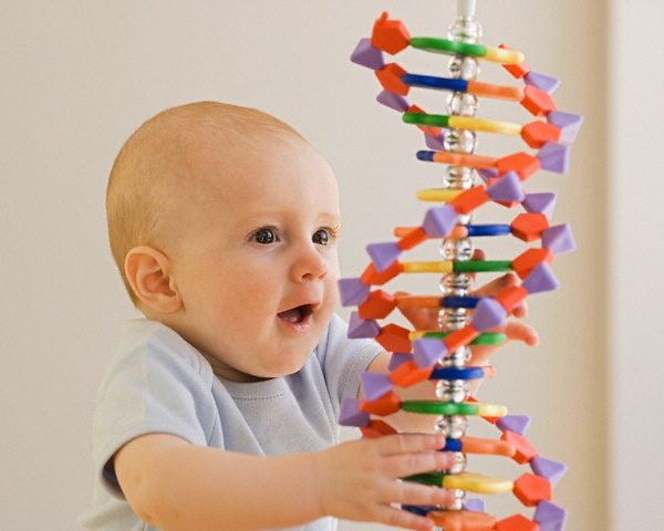 Рождение первенца можно предсказать по генам