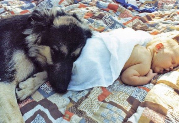 Дети спят в обнимку с собаками