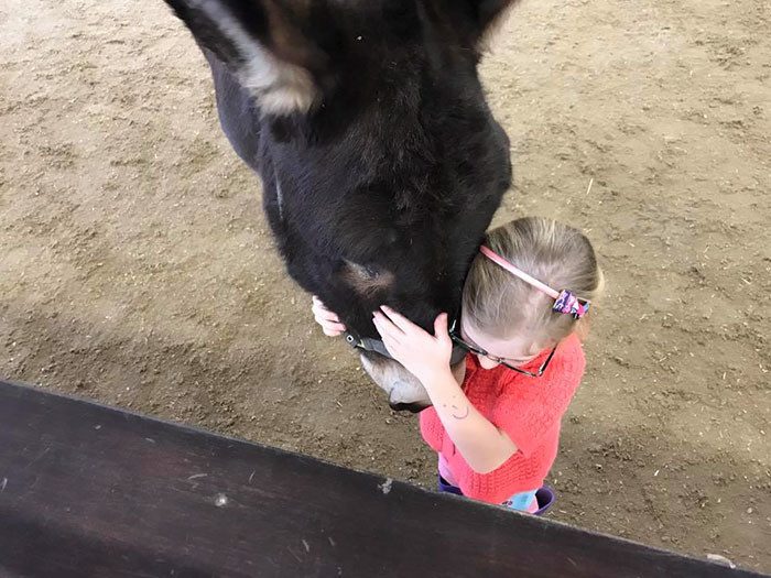 Немая девочка впервые в жизни заговорила с осликом