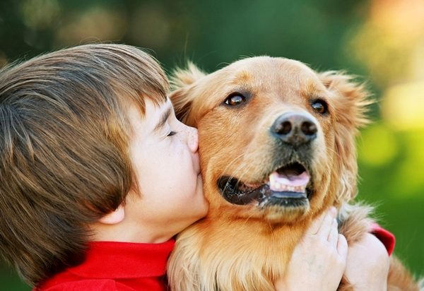Собаки помогают детям справиться со стрессом