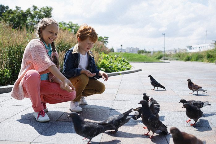 Почему кормить птиц с рук - опасно для детей?!