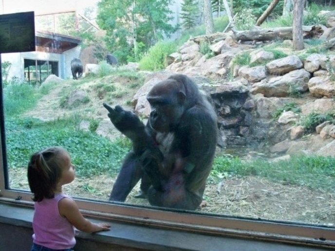 12 забавных моментов с детьми в зоопарке