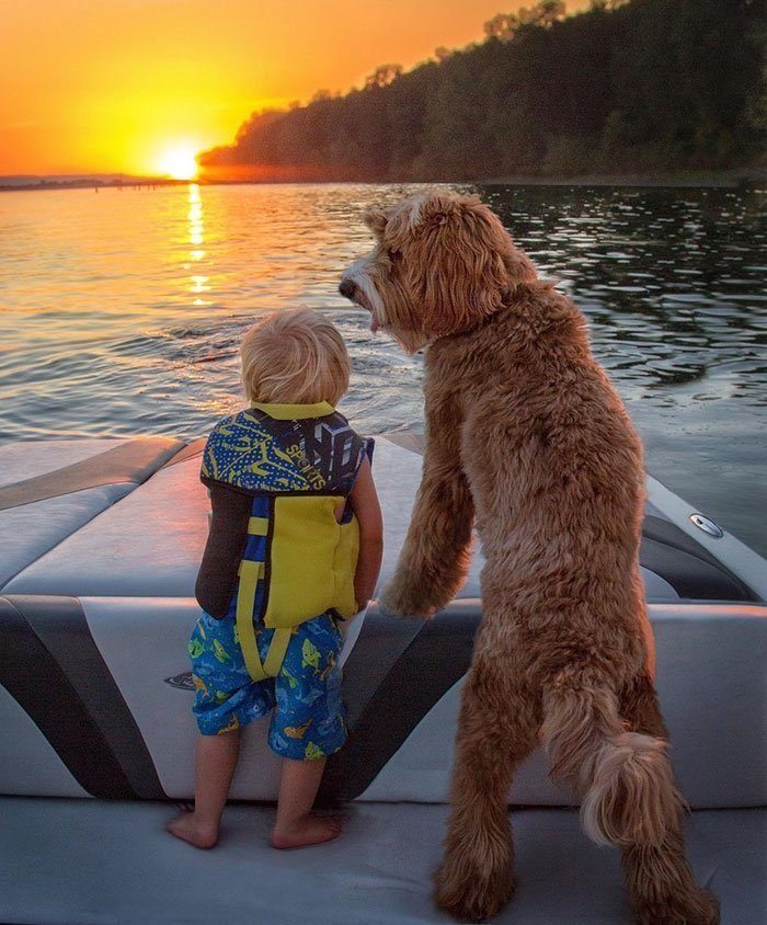 Трогательная дружба мальчика и его собаки по кличке Рейган