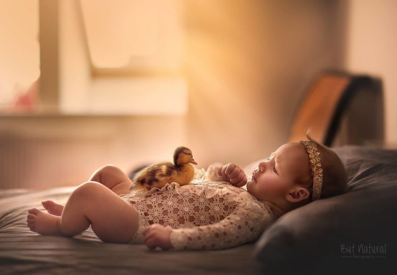 15 умилительных фото спящих малышей и детёнышей животных