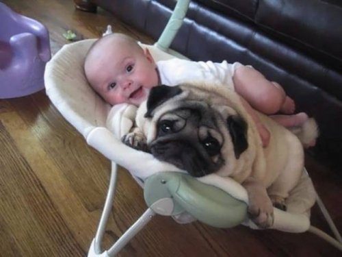 Когда дети и собаки — друзья навеки!