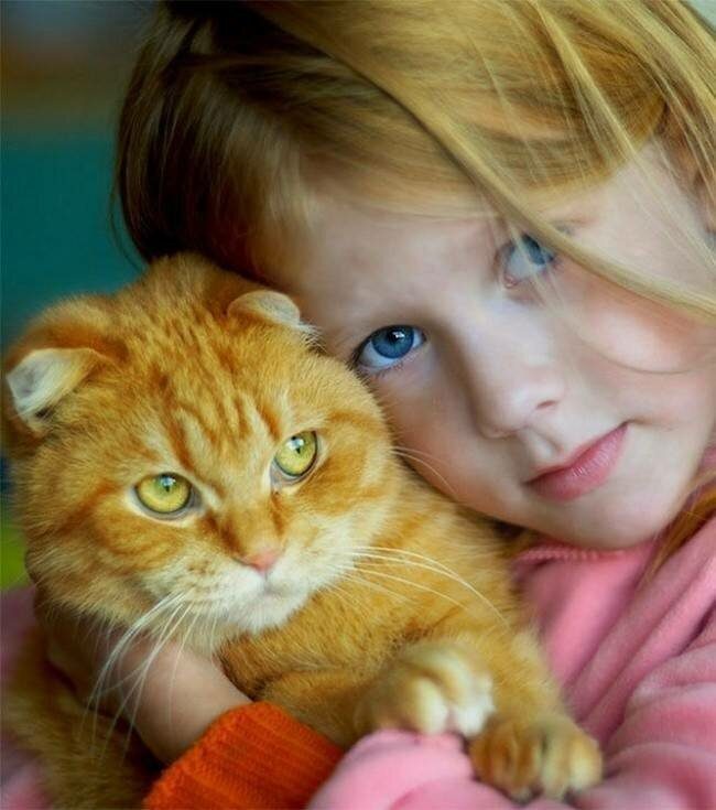 Дружба детей и кошек