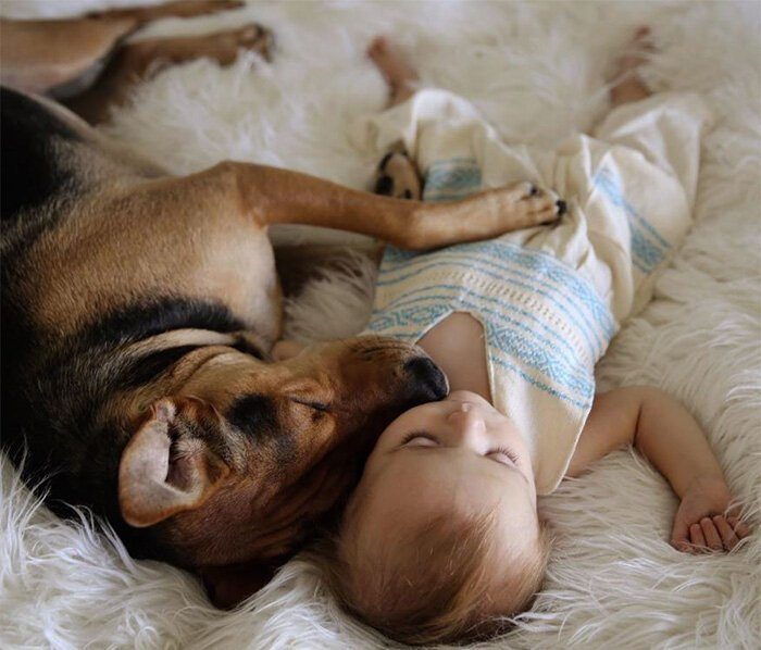 20 потрясающих примеров дружбы детей и животных