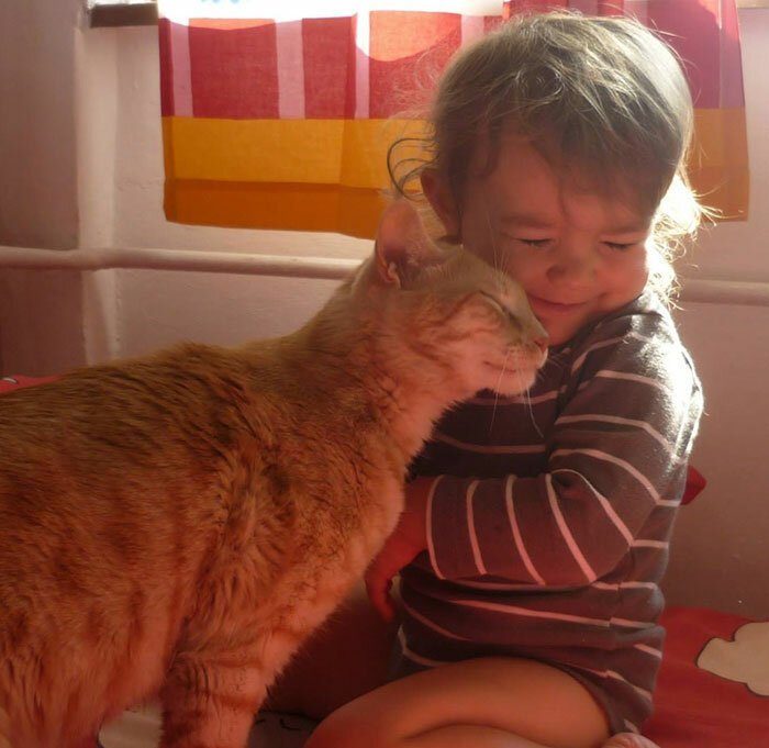 20 потрясающих примеров дружбы детей и животных