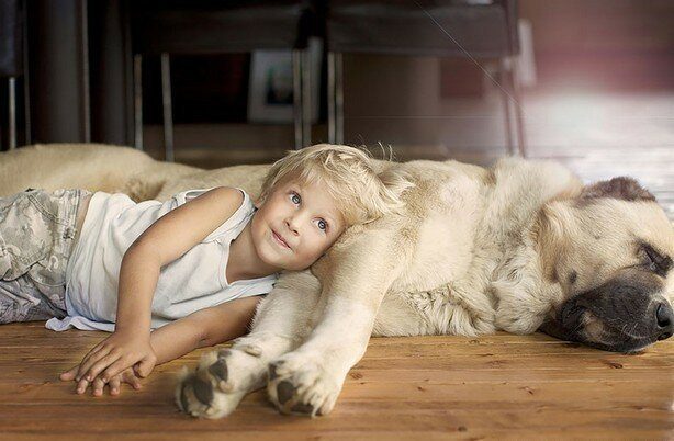Умилительные фотографии детей и домашних животных