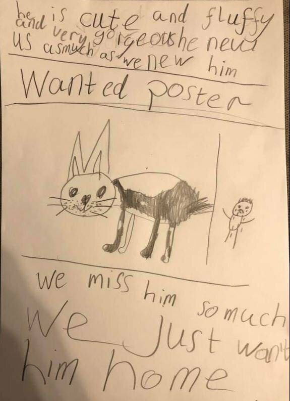 Мальчик, который очень хотел найти похищенного пса