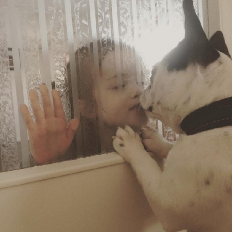 21 милое свидетельство того, что каждому ребенку нужна собака!