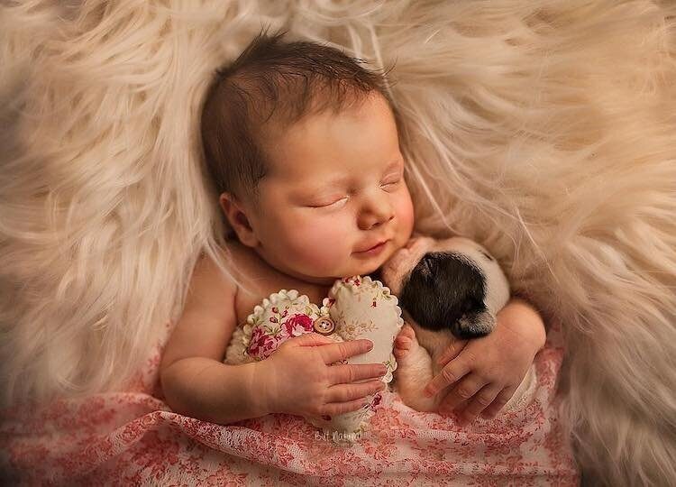 Трогательные фотографии младенцев с маленькими зверюшками