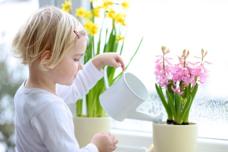Выбираем правильные растения для детской