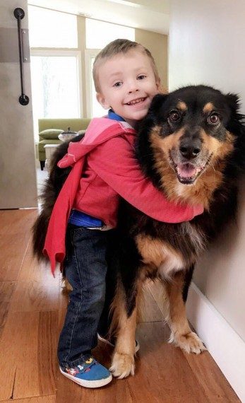 Крепкая дружба детей и собак