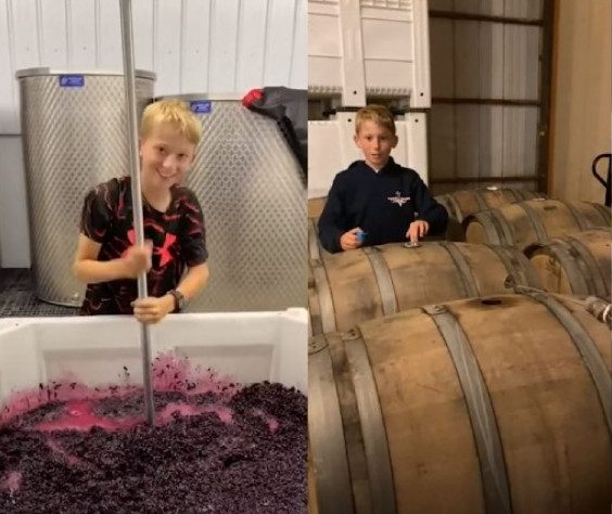 12-летний школьник стал настоящим виноделом