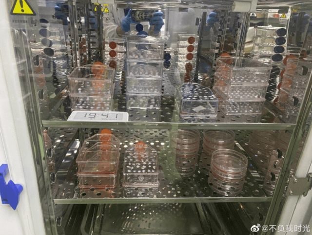Папа из Китая создал домашнюю лабораторию, чтобы сделать лекарство для смертельно больного сына